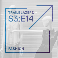 Fashion: The Politics of Style