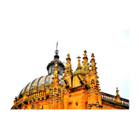 CCF - Sobre células madre y la guerra fría