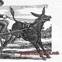 L’asino del gessaio. Una fiaba di Luigi Capuana