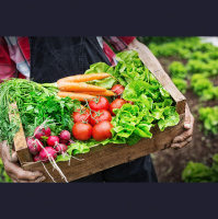 Agricultores: Hay gente especulando con nuestros productos en esta crisis sanitaria