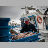 No podemos seguir arriesgando la vida de nuestros marineros