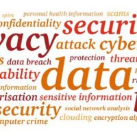 Cyber Security and Reputation Damage