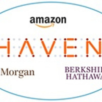 Why Did Haven Healthcare Fail?