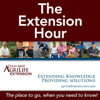 12.8.17 – The Extension Hour