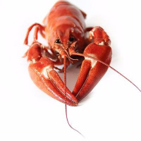 Storytime 1 With Ken David Stewart