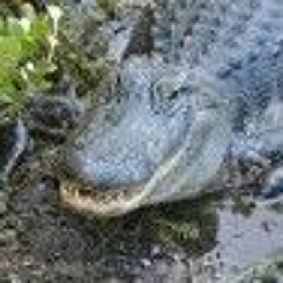 Weird And Fantastical Stories Of Ken David Stewart