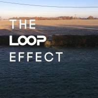 The Loop Effect: Summer Break and Killer Birds Part One