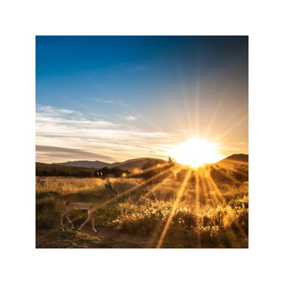 Glenda Coker - Health Insights Network