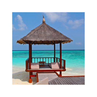 Glenda Coker - Health Insights Network