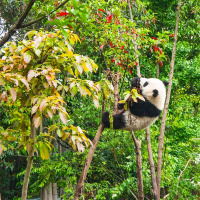 The Coaching Sessions: Finding Your Way Part 2 - Being Stuck