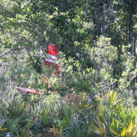 9-1-1 : Plane crashes near backyard