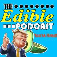 How Do You Get Fired?