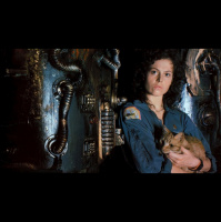 82 – More Bush Pls