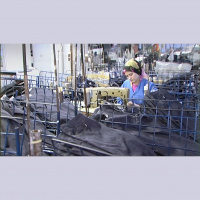 Leben auf Kosten anderer: Die Struktur der Externalisierungsgesellschaft