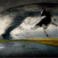 Les films catastrophes - Les secrets du cinéma