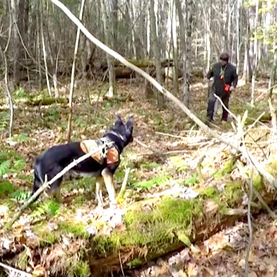 Missing Maura Murray