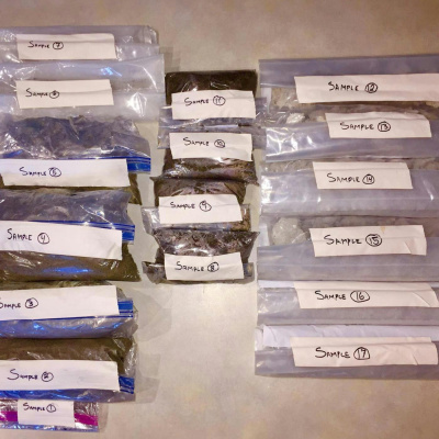 Missing Maura Murray