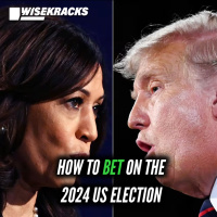 Everything You Need to Know For Betting on the US Election in 2024 - Wise Kracks