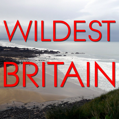 Wildest Britain