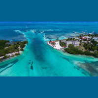 138: Belize vs. Big Oil