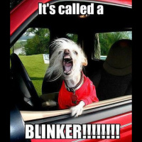 Episode 004 – Deconstructing Road Rage