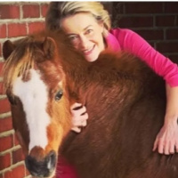 Del canis lupus al canis latronis