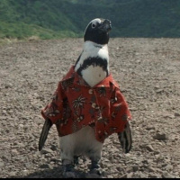 CSLM 376 - Críticas en Nueva Normalidad (19): 50 primeras citas (Adam Sandler, 2004)