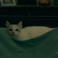 CSLM 379 - Críticas en Konfinamiento Selectivo (2): Doctor Sueño (Mike Flanagan, 2019)