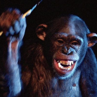 CSLM 369 - Críticas en Nueva Normalidad (12): Phenomena (Dario Argento, 1985)