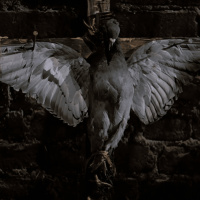 CSLM 434 - El príncipe de las tinieblas (John Carpenter, 1987)