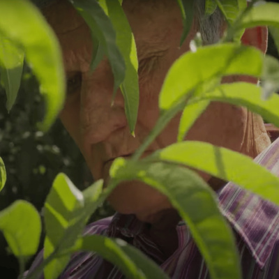 Críticas Sobre La Marcha