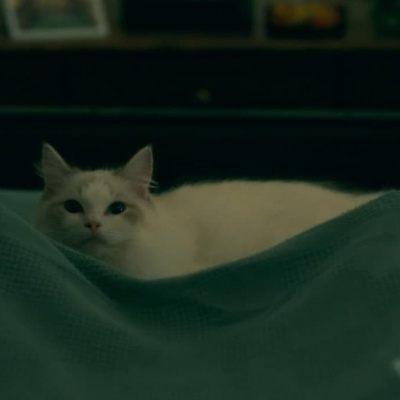 Críticas Sobre La Marcha