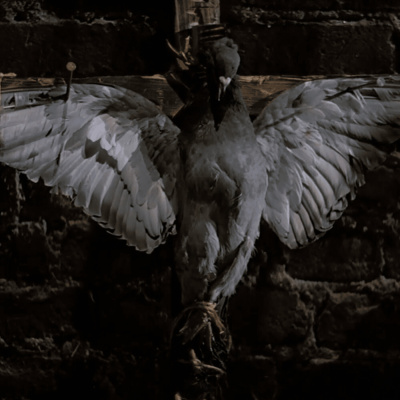 Críticas Sobre La Marcha