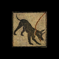 How I Learned to Swear