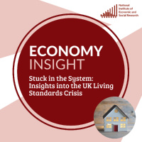 Stuck in the System: Insights Into the UK Living Standards Crisis
