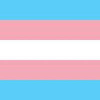 Promoting transgender equality: are social workers up to the challenge?