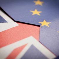 Policies for a no-deal Brexit