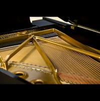 Forever Grateful | Solo Piano Improvisation [Episode 263]