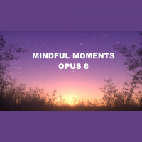 Mindful Moments, Opus 6 [Episode 258]