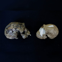 “What Makes Us Human?” with Natalia Reagan