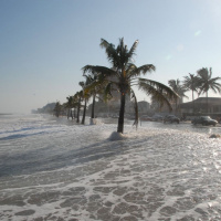 Death by Climate Change, with Natalia Reagan