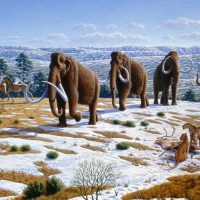 Cloning Genetics and Ethics, with Natalia Reagan