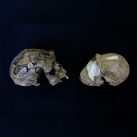 Extended Classic – “What Makes Us Human?” with Natalia Reagan