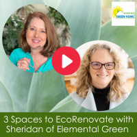3 Spaces to EcoRenovate with Sheridan of Elemental Green