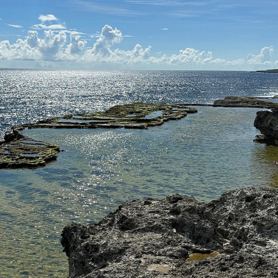 Ndr Info - Das Forum