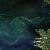 Lorigine de la vie, 5 : La photosynthèse, moteur de la biosphère