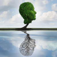 The Science of Antidepressants