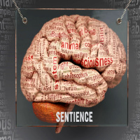 Futureproof Extra: The Origins of Sentience