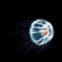 Futureproof Extra: Is Immortality by 2045 Possible? 