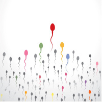 Futureproof Extra: The Benefits of Sperm Swimming in Groups